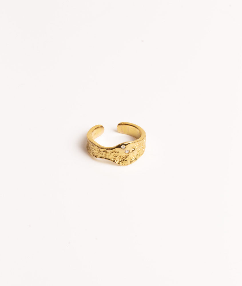 Queen justerbar ring i guld med 2 zirkonia sten